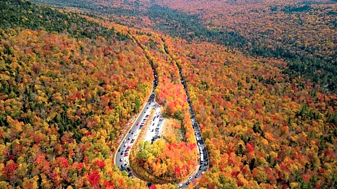 New Hampshire Fall Foliage Map 2026: Track Peak Colors