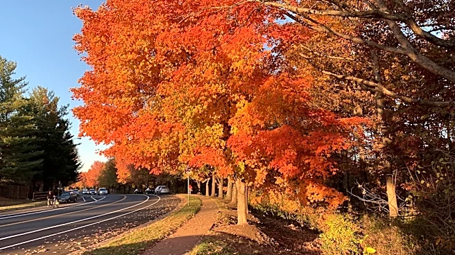U.S. Fall Foliage Maps and Trackers for 2026 Leaf-Peeping