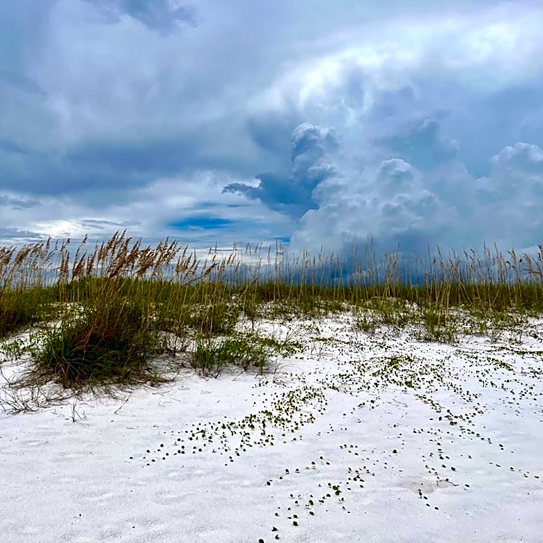 Large Waterspout Spotted Near Pensacola Beach, Florida