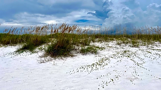 Large Waterspout Spotted Near Pensacola Beach, Florida
