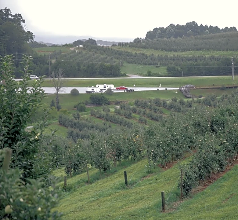 Climate Change Threatens Key Georgia Crops and Foods