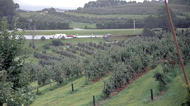 Climate Change Threatens Key Georgia Crops and Foods