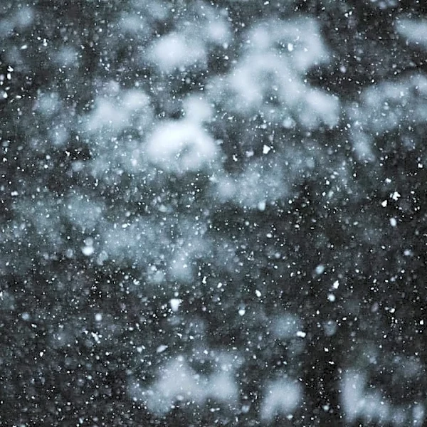 El Niño Strengthens: Western U.S. Braces for Snowier Winter