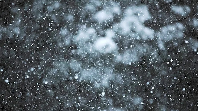 El Niño Strengthens: Western U.S. Braces for Snowier Winter