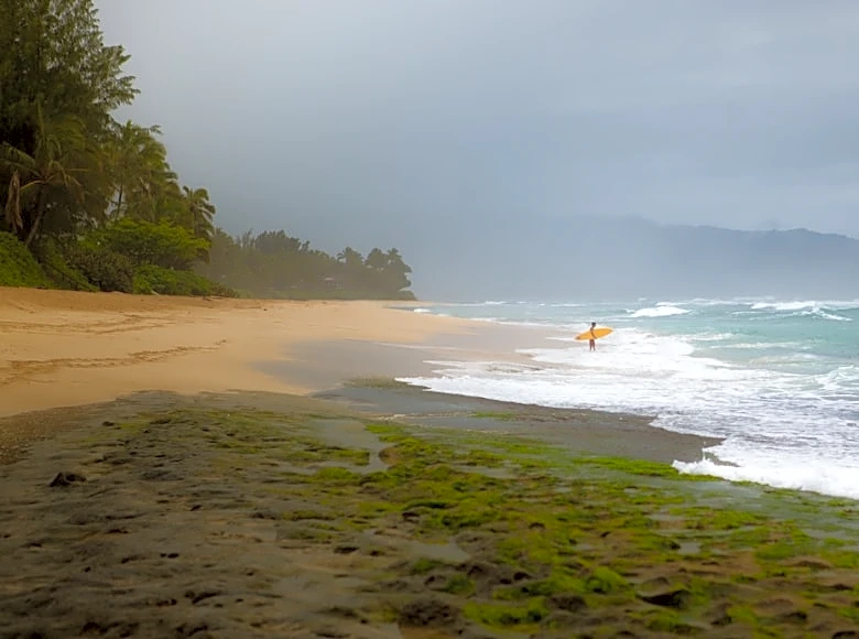 Hawaii Experiences Second Wettest August on Record