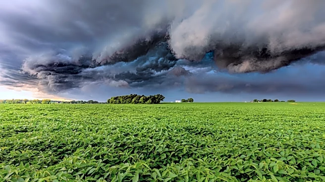 Severe Weather Causes Power Outages in Illinois, Indiana, and Ohio