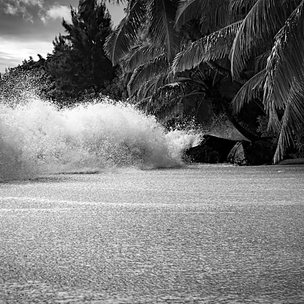 Hurricane Lowell Claims One Life in Hawaii, Governor Confirms