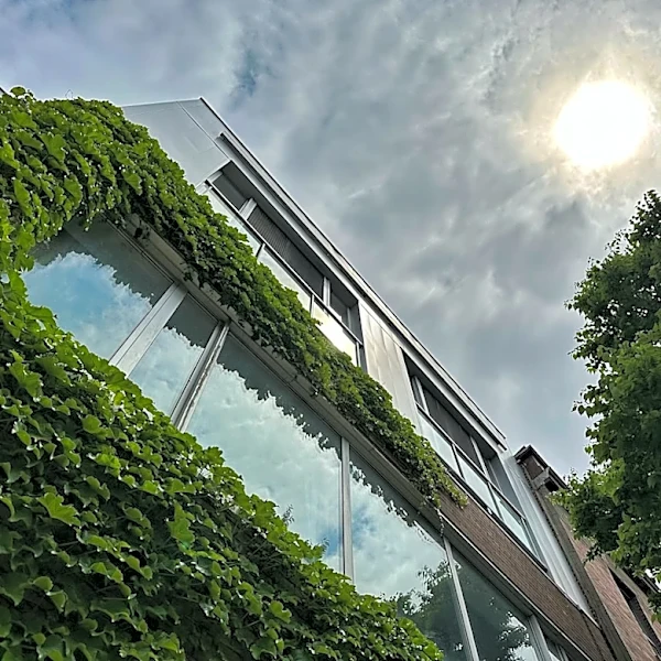 Urban Heat Island Effect: A Growing Concern for Sustainable Cities