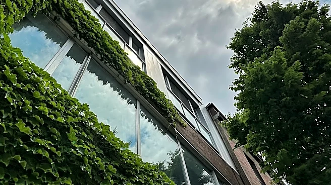 Urban Heat Island Effect: A Growing Concern for Sustainable Cities