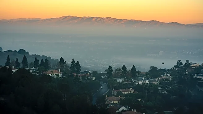 Vista Wildfire Prompts Evacuations Near Brengle Terrace Park