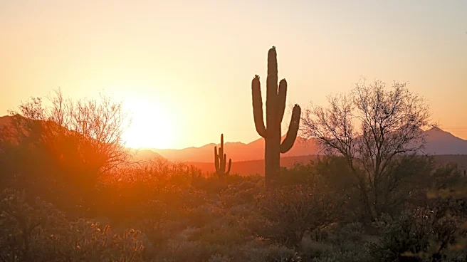 Extreme Heat Warning Issued for Phoenix Area with Triple-Digit Temperatures
