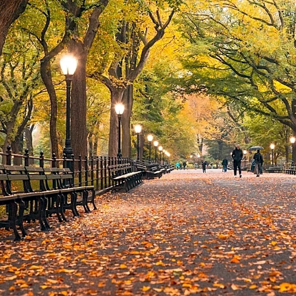 Above-Average Temperatures and Dry Conditions Expected for New York Fall 2026