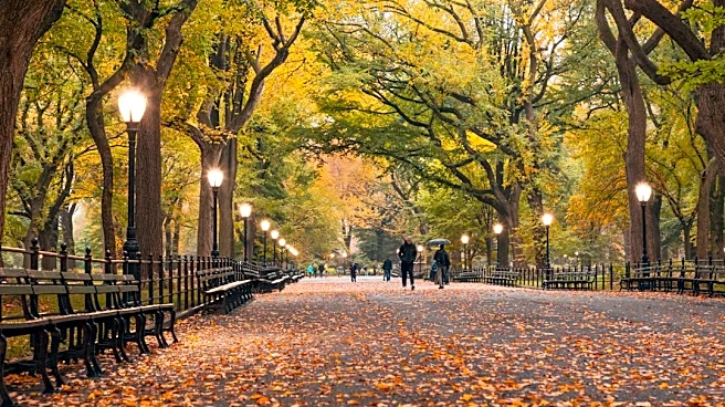 Above-Average Temperatures and Dry Conditions Expected for New York Fall 2026
