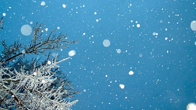 Farmers' Almanac Predicts Snowy and Unpredictable Winter for 2026-2027