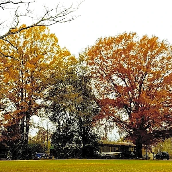 Alabama Residents Await Fall Weather Amid Lingering Summer Heat