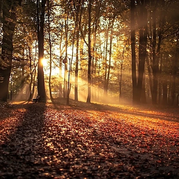 Fall 2026 Begins with Autumnal Equinox on September 22