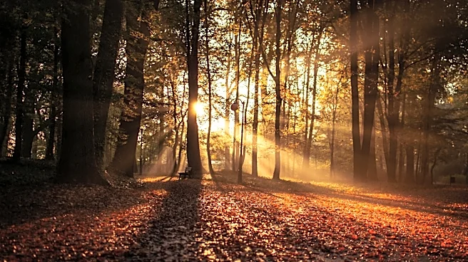 Fall 2026 Begins with Autumnal Equinox on September 22