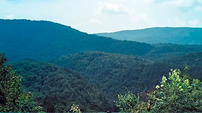 Southern Appalachians Prepare for Vibrant Fall Foliage in 2026