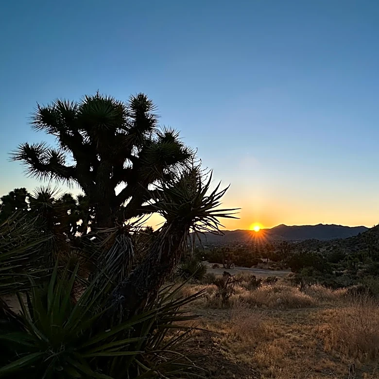 Extreme Heat Warning Issued for Southern Nevada with Highs Near 105°F