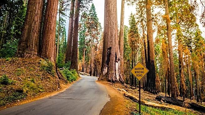 National Parks See Decline in Visitors Amid Rising Fees and Natural Disasters