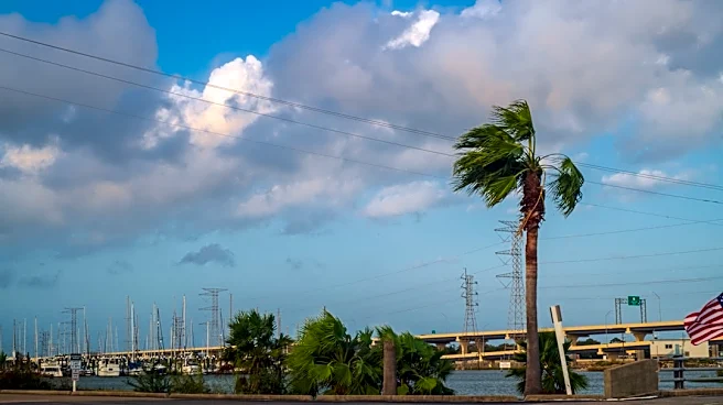 Texas Gulf Coast Faces Hurricane Preparedness Challenges Amid Evacuation Concerns