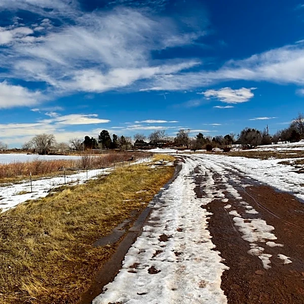 Strong El Niño to Reshape U.S. Winter Weather Patterns