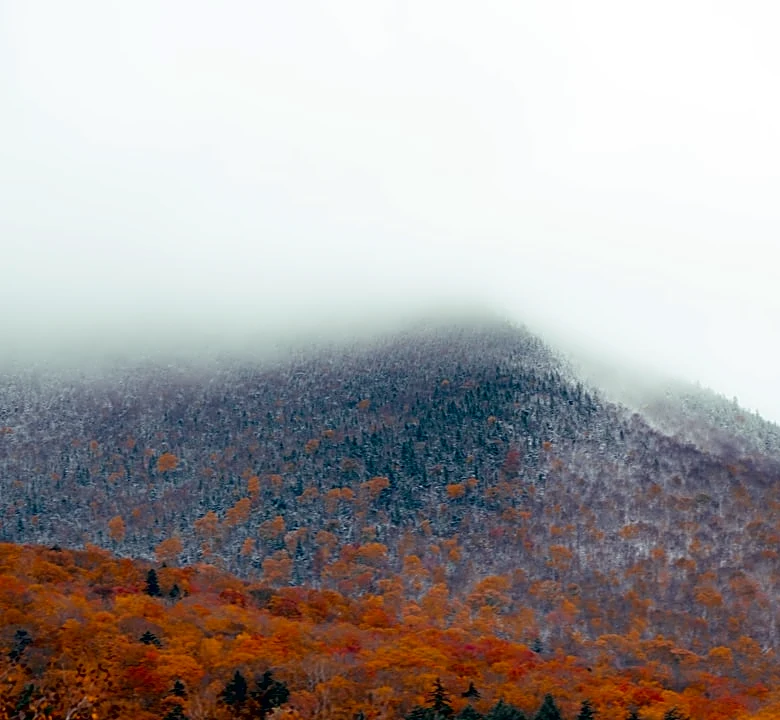 Warmer Temperatures May Delay Peak Foliage in Southern New England
