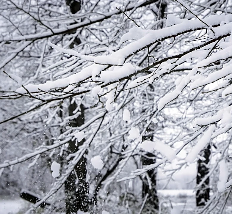 When to Expect the First Snowfall in 2026 Across the U.S.