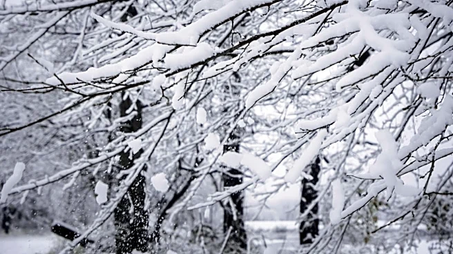When to Expect the First Snowfall in 2026 Across the U.S.