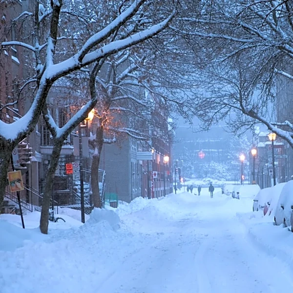 Understanding the Difference Between Nor'easters and Blizzards