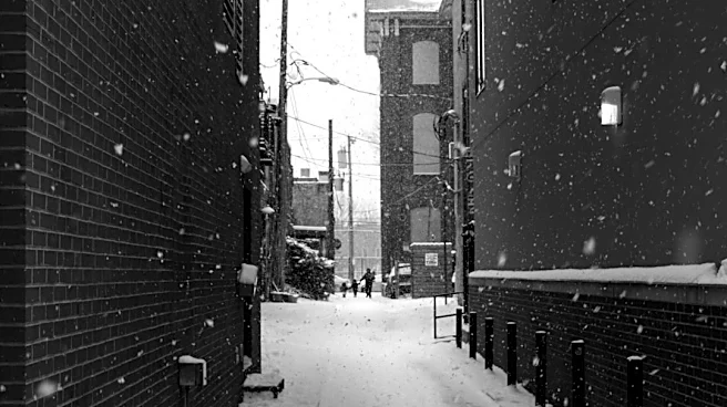 Philadelphia's First Snowfall Expected Late November to December