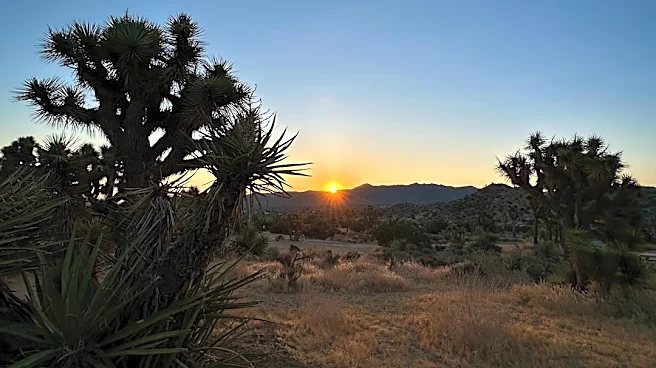 Extreme Heat Warning Issued for Southern Nevada