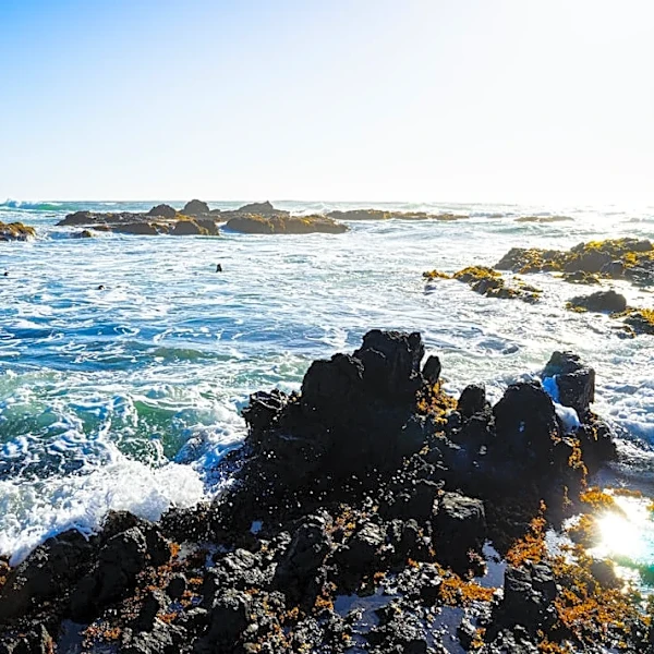 Northern California Braces for Dramatic Weekend Cool-Down