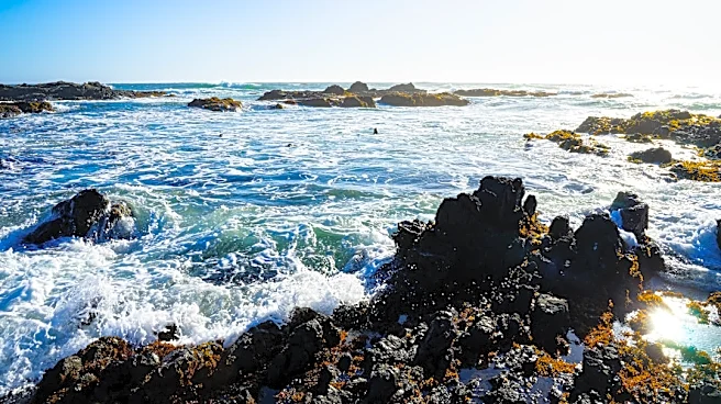 Northern California Braces for Dramatic Weekend Cool-Down