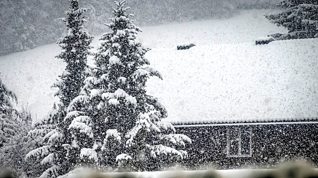 Farmers' Almanac Predicts First Snowfall Dates Across the U.S.