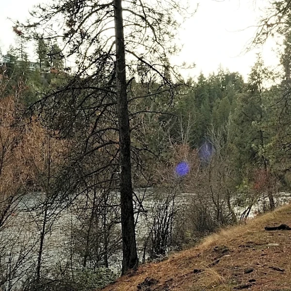 Flash Flood Watch Issued for Spokane Wildfire Burn Scar Areas