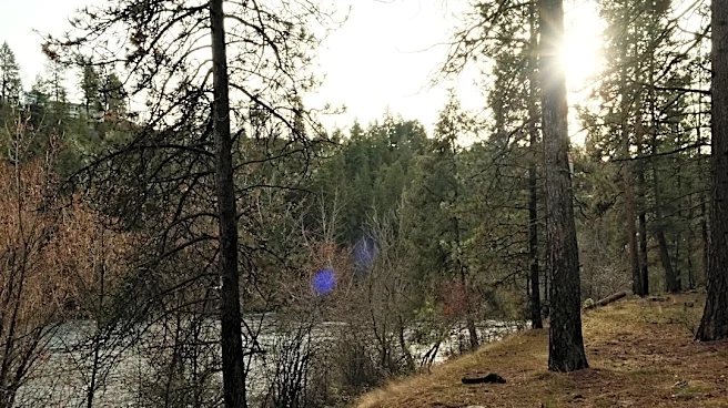 Flash Flood Watch Issued for Spokane Wildfire Burn Scar Areas