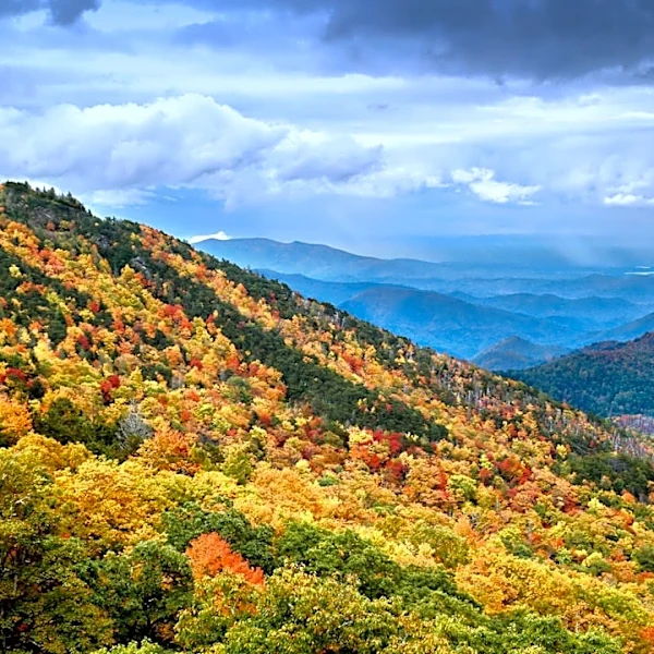 How Cold Air Damming Shapes Fall Weather Patterns