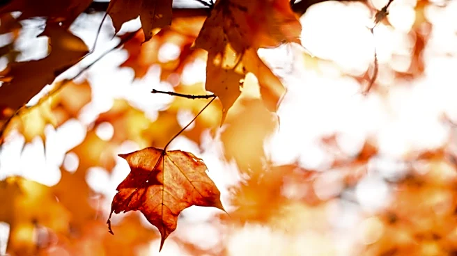 2026 Fall Foliage Forecast: Peak Colors to Progress North to South