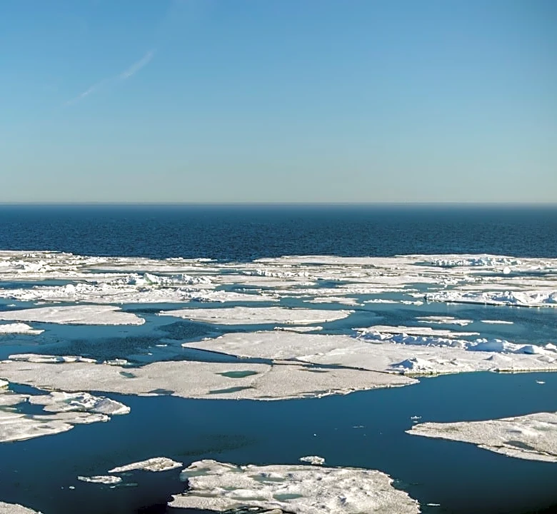 Back-to-Back Arctic Cyclones Double Sea Ice Loss