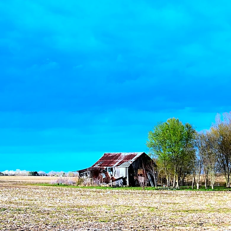 Farmers Report Severe Crop Damage Following August Derecho in Indiana
