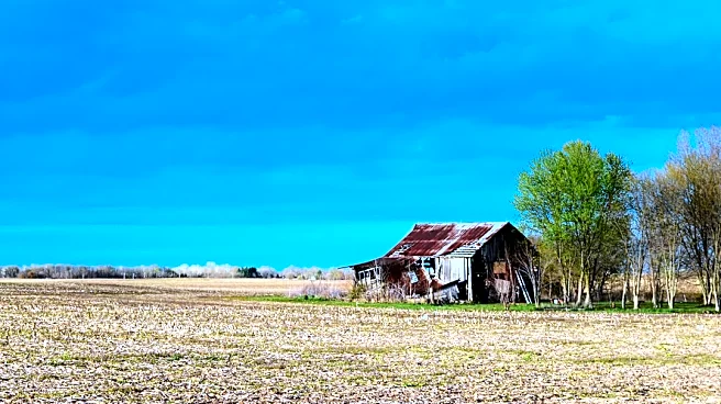 Farmers Report Severe Crop Damage Following August Derecho in Indiana