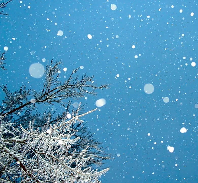 NOAA Map Predicts Heavy Snow for Multiple US States This Winter