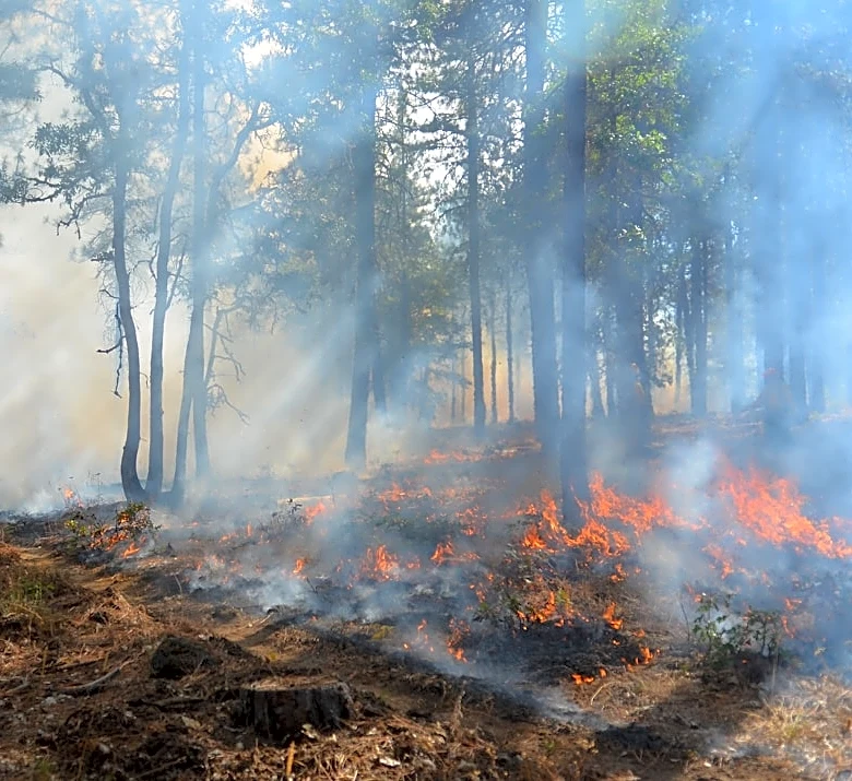 Washington Wildfires Burn Over 400,000 Acres Amid Ongoing Season