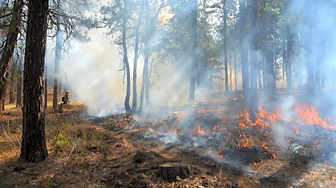 Washington Wildfires Burn Over 400,000 Acres Amid Ongoing Season