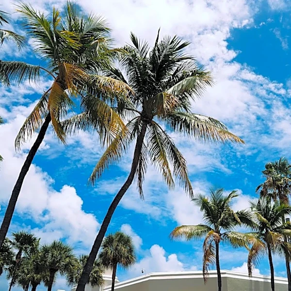 Scattered Storms Expected Across South Florida This Week