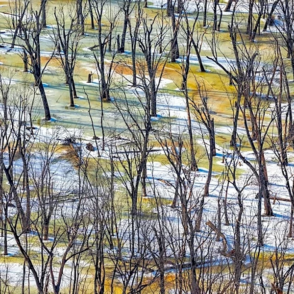 Midwest Faces Rising Wildfire Risks Amid Climate Change