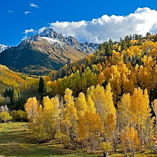 Colorado's Fall Colors Arrive Early Amid Drought Stress