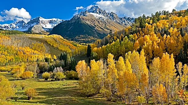 Colorado's Fall Colors Arrive Early Amid Drought Stress