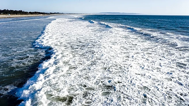 Kelvin Wave Threatens Southern California Coast Amid El Niño